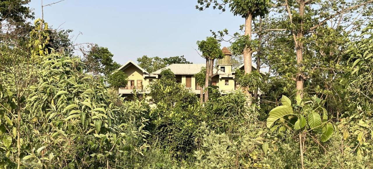 River View Jungle Camp Sauraha Exterior foto