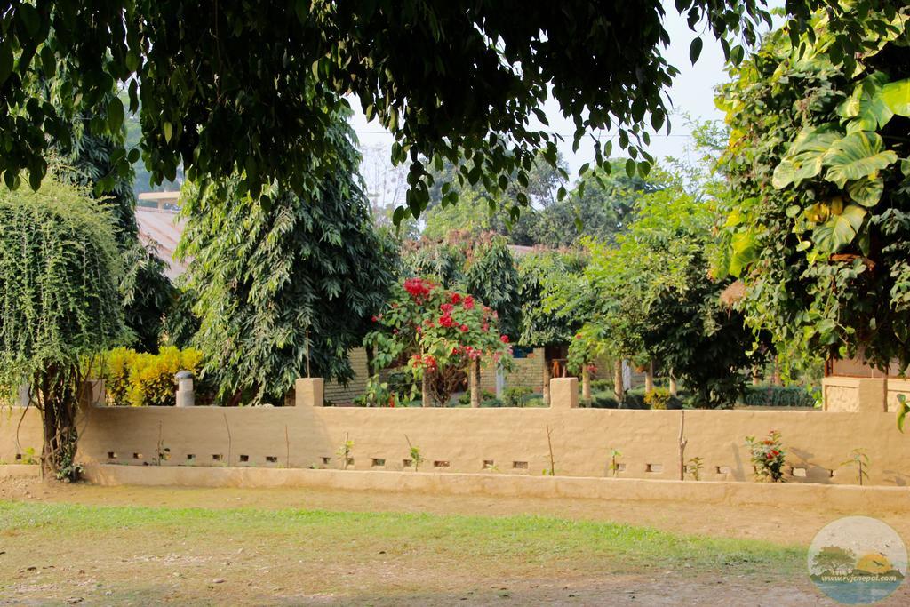 River View Jungle Camp Sauraha Exterior foto