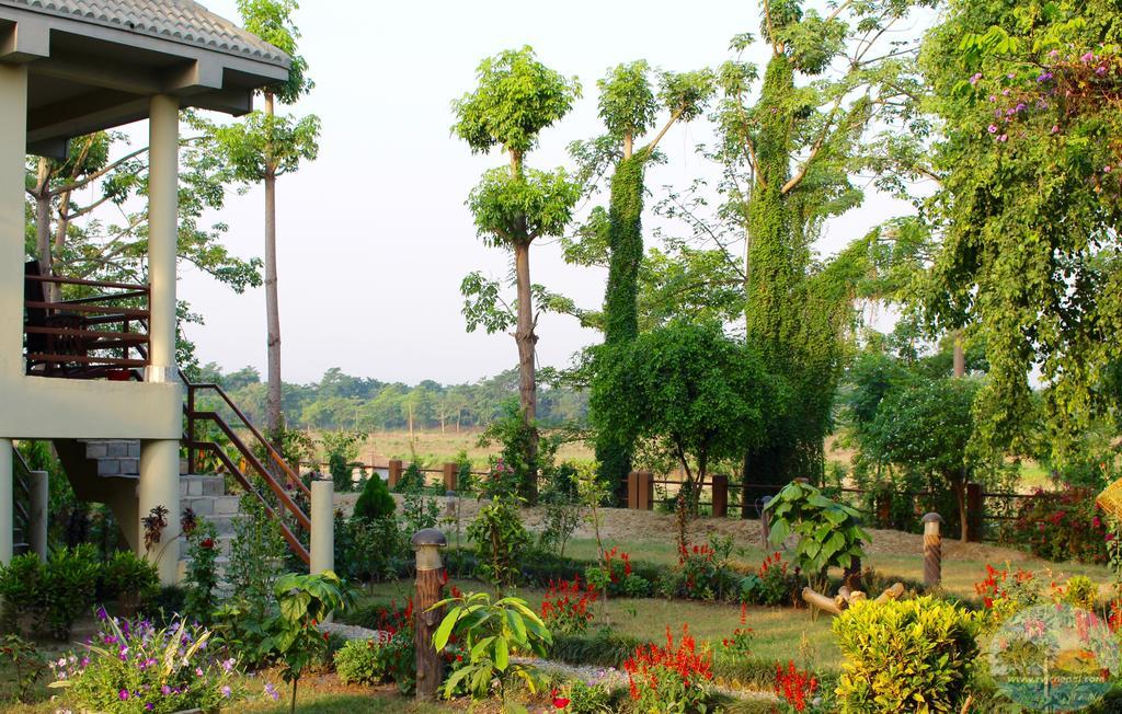 River View Jungle Camp Sauraha Exterior foto