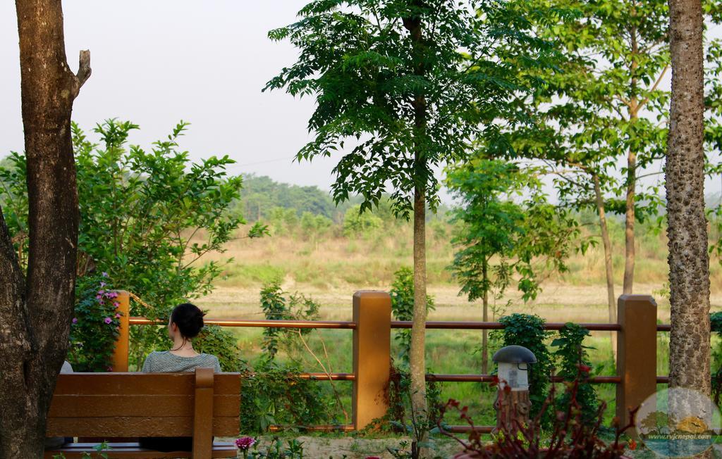 River View Jungle Camp Sauraha Exterior foto