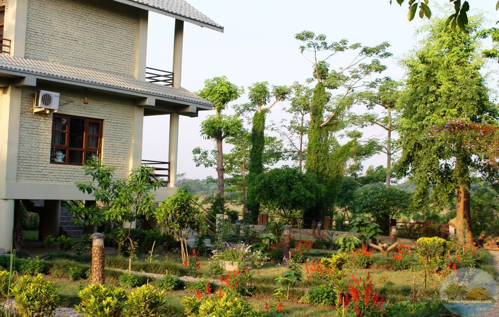 River View Jungle Camp Sauraha Exterior foto