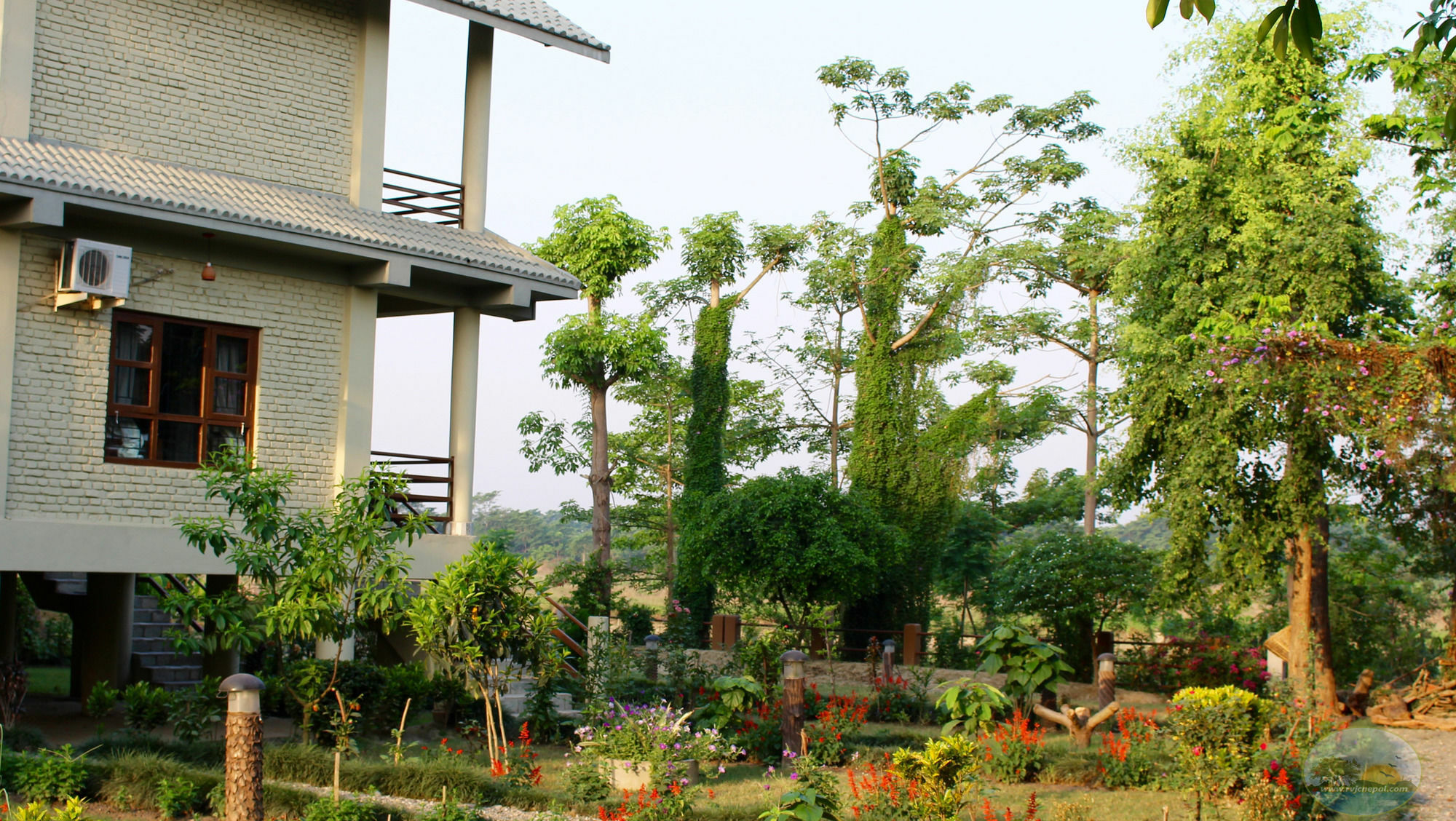 River View Jungle Camp Sauraha Exterior foto