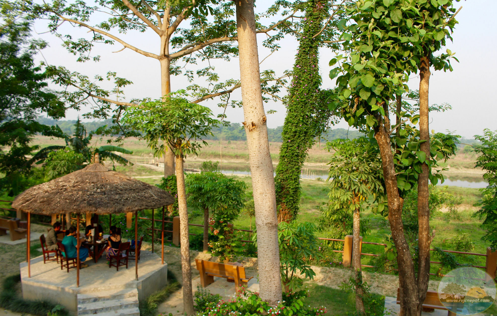 River View Jungle Camp Sauraha Exterior foto